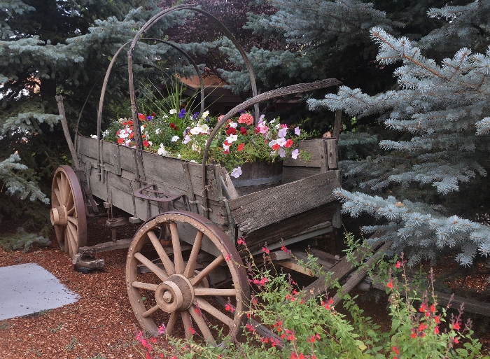 wagon of flowers